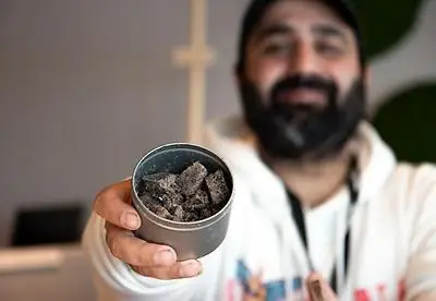 I rikets hemliga tjänst